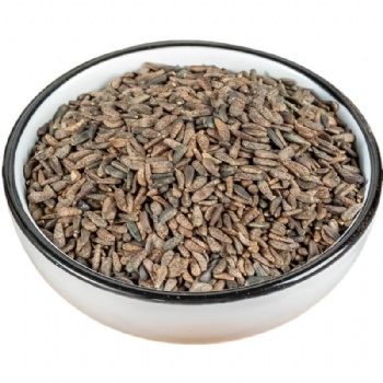 Niu Bang Zi great burdock achene