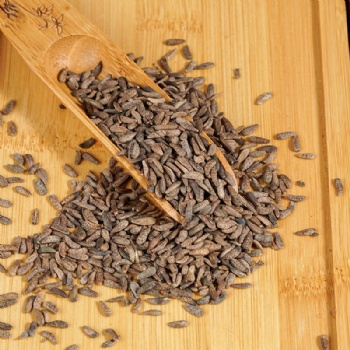 Niu Bang Zi great burdock achene