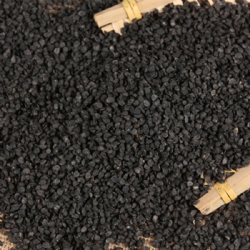 Jiu Cai Zi chive seed