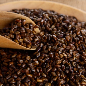 Chao Jue Ming Zi Stir-fried cassia seed