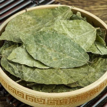 Bu Zha Ye leaf of paniculate microcos