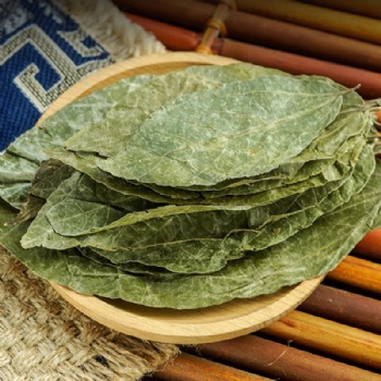 Bu Zha Ye leaf of paniculate microcos