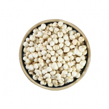 Chuan Bei Mu Szechuan-fritillary Bulb