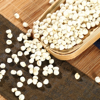 Chuan Bei Mu Szechuan-fritillary Bulb