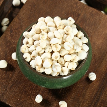 Chuan Bei Mu Szechuan-fritillary Bulb