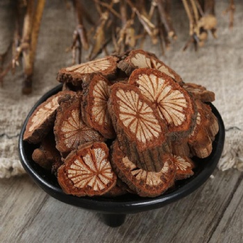 Da Xue Teng sargentgloryvine stem