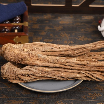 Dang Gui Tou Angelica sinensis head