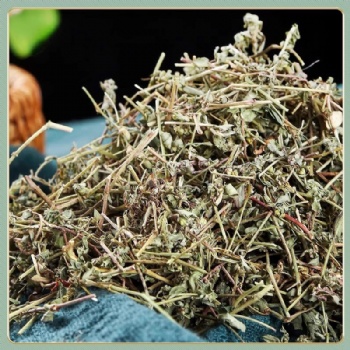 Di Jin Cao humifuse euphorbia herb