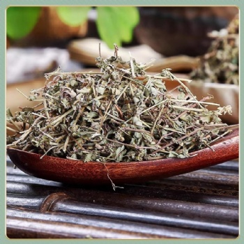 Di Jin Cao humifuse euphorbia herb