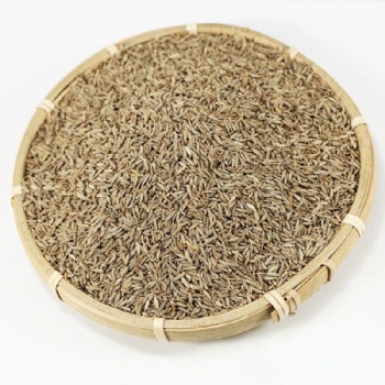 Zi Ran Cumin Chinese cumin seed