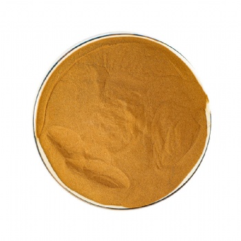 Hai Jin Sha Japanese Climbing Fern Spore