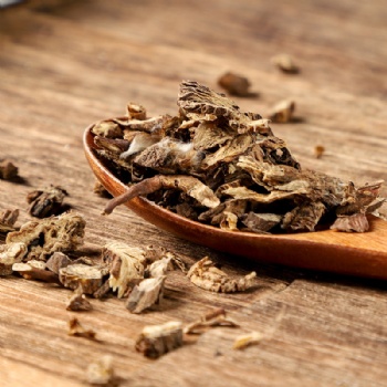 Bai Tou Weng the root of Chinese pulsatilla