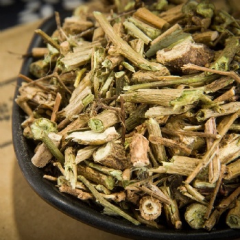 Bai Ying Solanum Lyratum Thunb