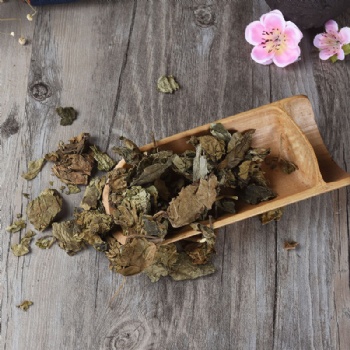 Wu Tong Ye harlequin glorybower leaf