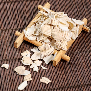 Wa Leng Zi concha arcae