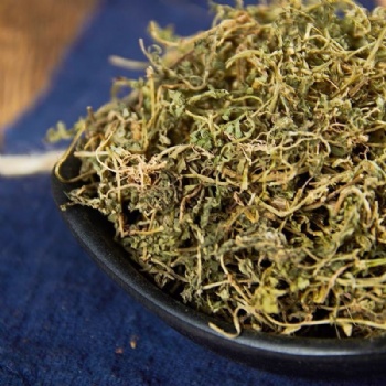 E Bu Shi Cao Centipeda minima