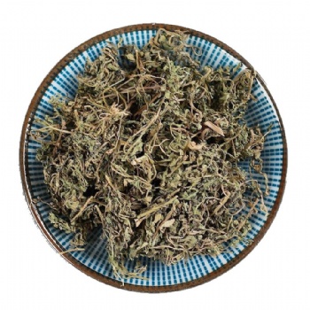 E Bu Shi Cao Centipeda minima