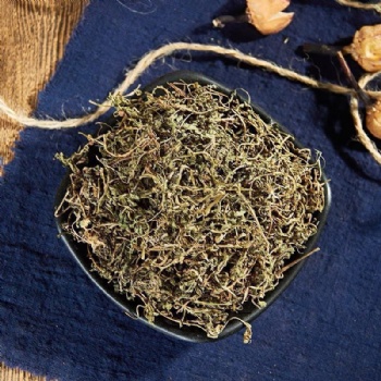 E Bu Shi Cao Centipeda minima