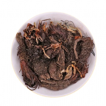 Gan Song rhizoma nardostachyos