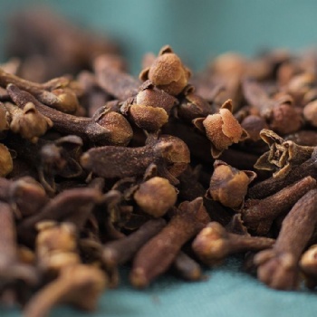 Gong Ding Xiang Caryophylli Flos Clove