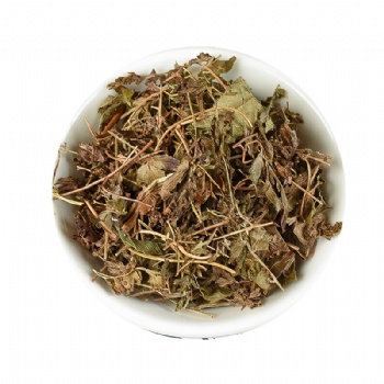 Hai Jin Sha Teng Lygodium japonicum