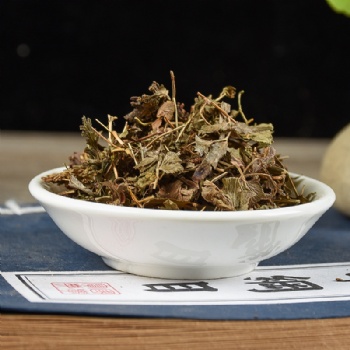 Hai Jin Sha Teng Lygodium japonicum