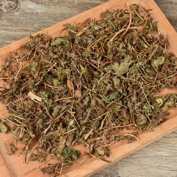 Hai Jin Sha Teng Lygodium japonicum