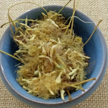 He Huan Hua Silk Tree Flower Albizia julibrissin