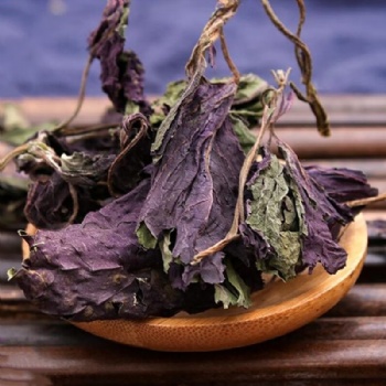 Zi Su Ye Perilla leaf
