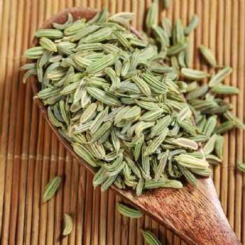 Hui Xiang Zi fennel seed