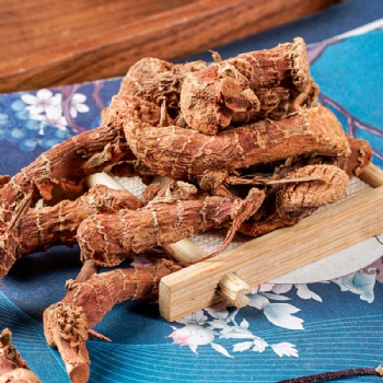 Liang Jiang Lesser galangal