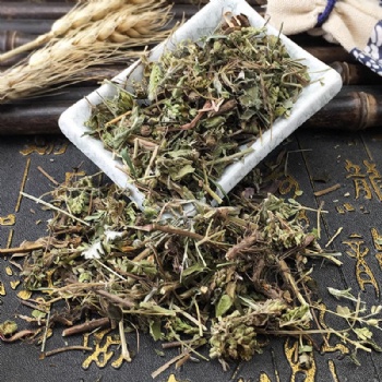 Niu Zhi Oregano