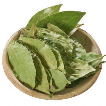 Xiang Ye Bay leaf