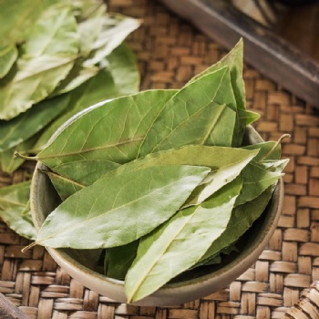 Xiang Ye Bay leaf