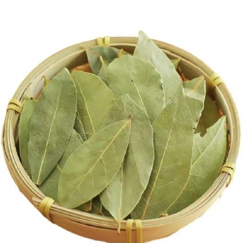 Xiang Ye Bay leaf