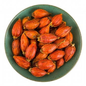 Zhi Zi Fructus Gardeniae