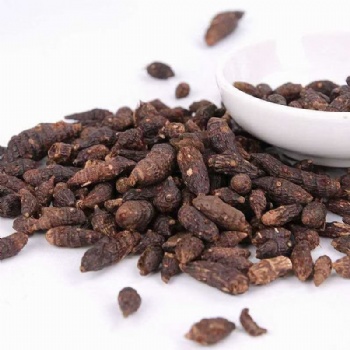 Xiang FU Cyperus rotundus