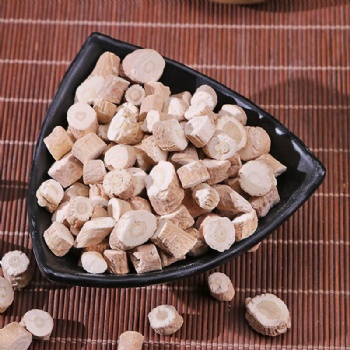 Ban Lan Gen Indigowoad Root