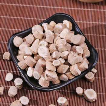 Ban Lan Gen Indigowoad Root