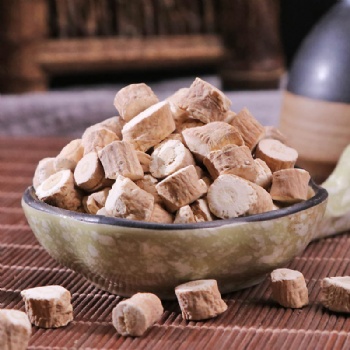 Ban Lan Gen Indigowoad Root