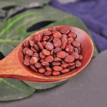 Chao Suan Zao Ren Spine Date Seed wild jujube seed