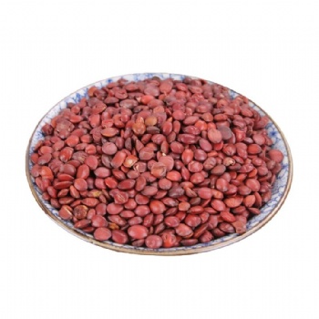 Chao Suan Zao Ren Spine Date Seed wild jujube seed