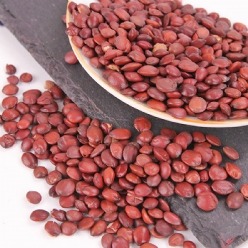 Chao Suan Zao Ren Spine Date Seed wild jujube seed