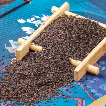 Che Qian Zi Asiatic Plantain Herb Plantaginis