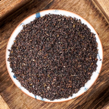 Che Qian Zi Asiatic Plantain Herb Plantaginis