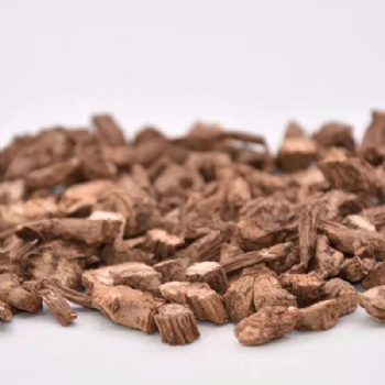 Xu Duan Himalayan Teasel Root