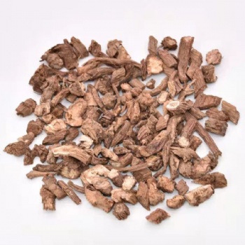 Xu Duan Himalayan Teasel Root