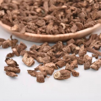 Xu Duan Himalayan Teasel Root