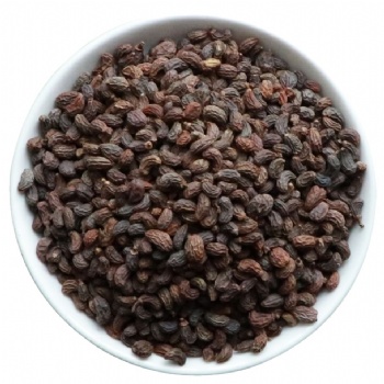 Nv Zhen Zi Glossy Privet Fruit