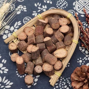 Shou Wu Teng vine of multiflower knotweed